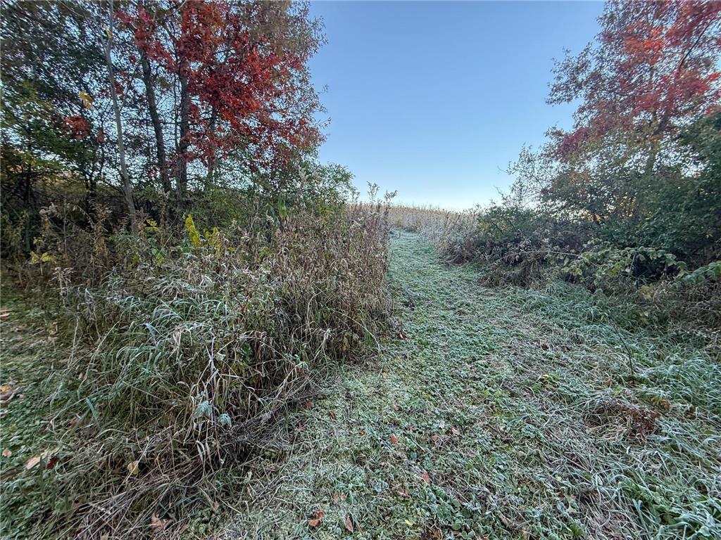 6302 20th Avenue SE Rochester MN 55904 7036991 image101