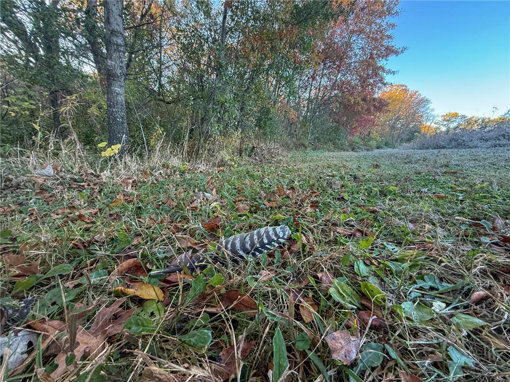 6302 20th Avenue SE Rochester MN 55904 7036991 image104