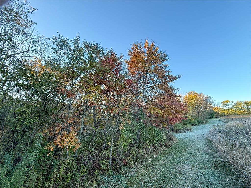 6302 20th Avenue SE Rochester MN 55904 7036991 image105