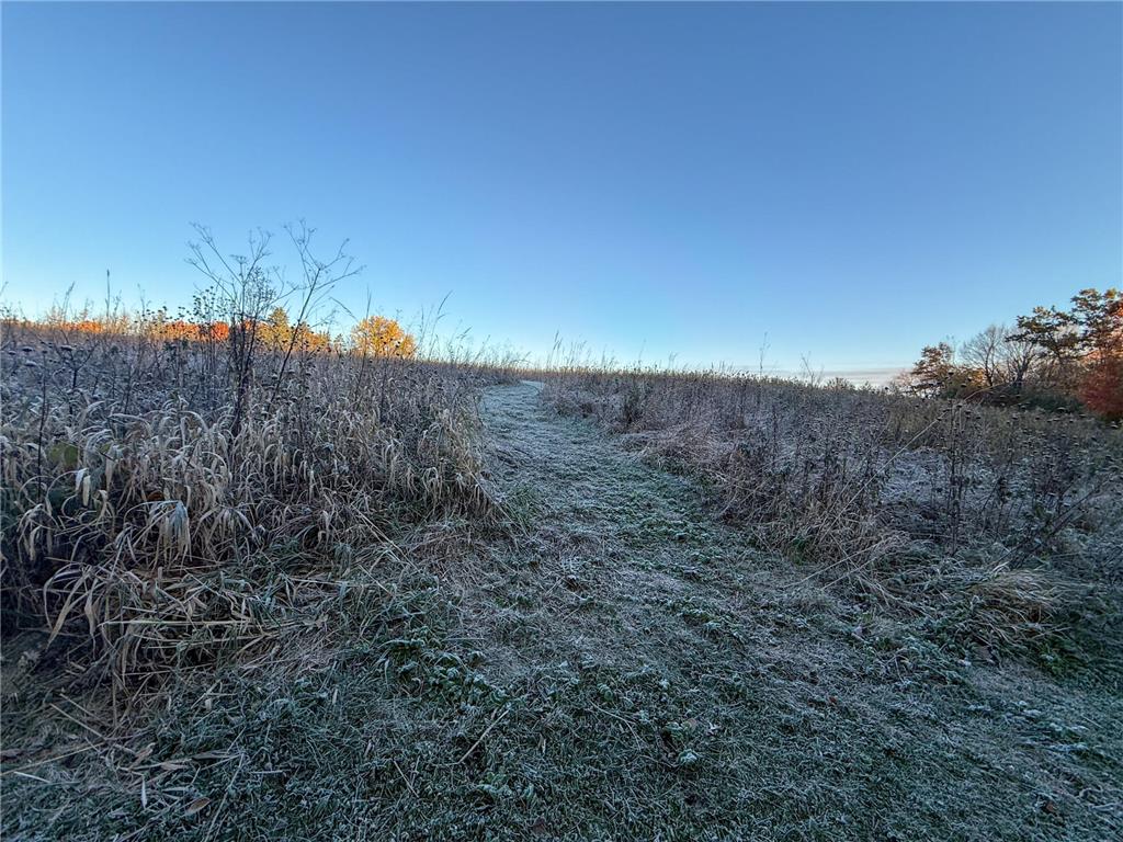 6302 20th Avenue SE Rochester MN 55904 7036991 image106