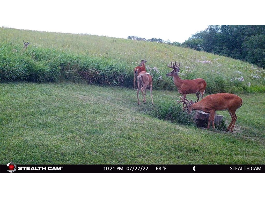 6302 20th Avenue SE Rochester MN 55904 7036991 image119