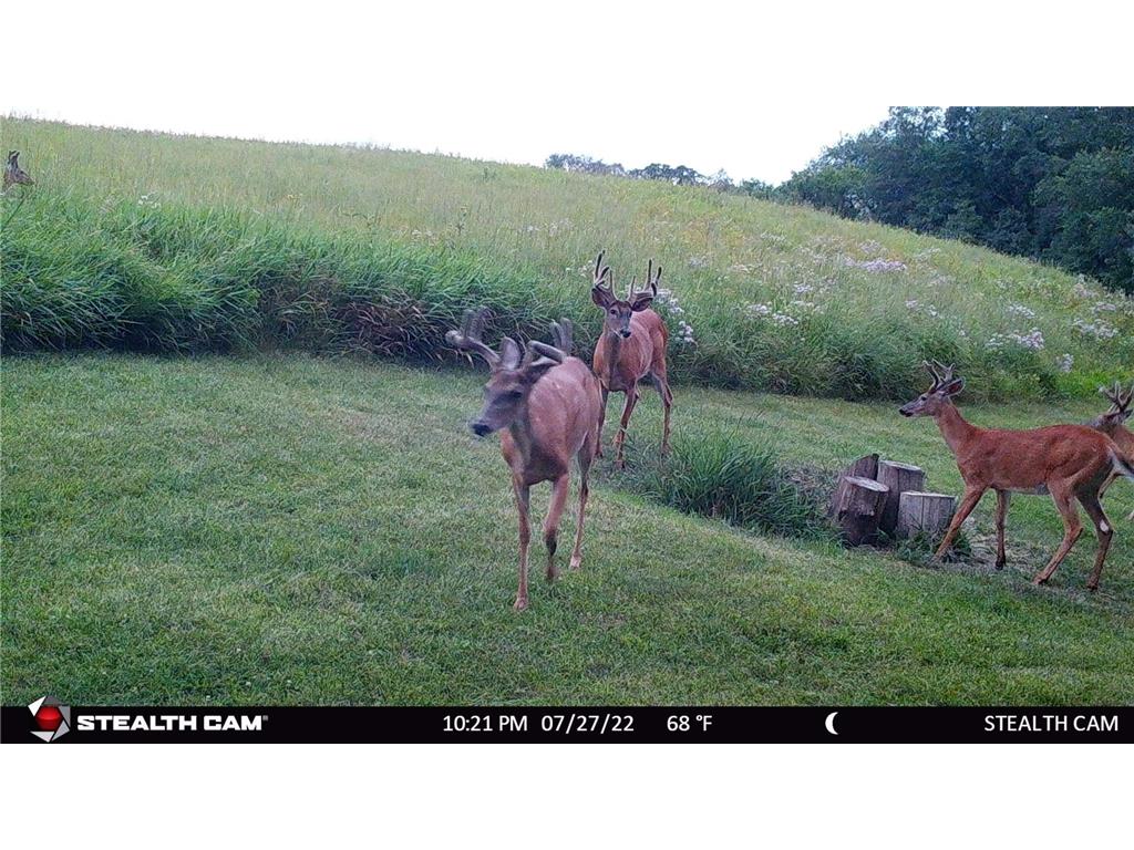 6302 20th Avenue SE Rochester MN 55904 7036991 image120