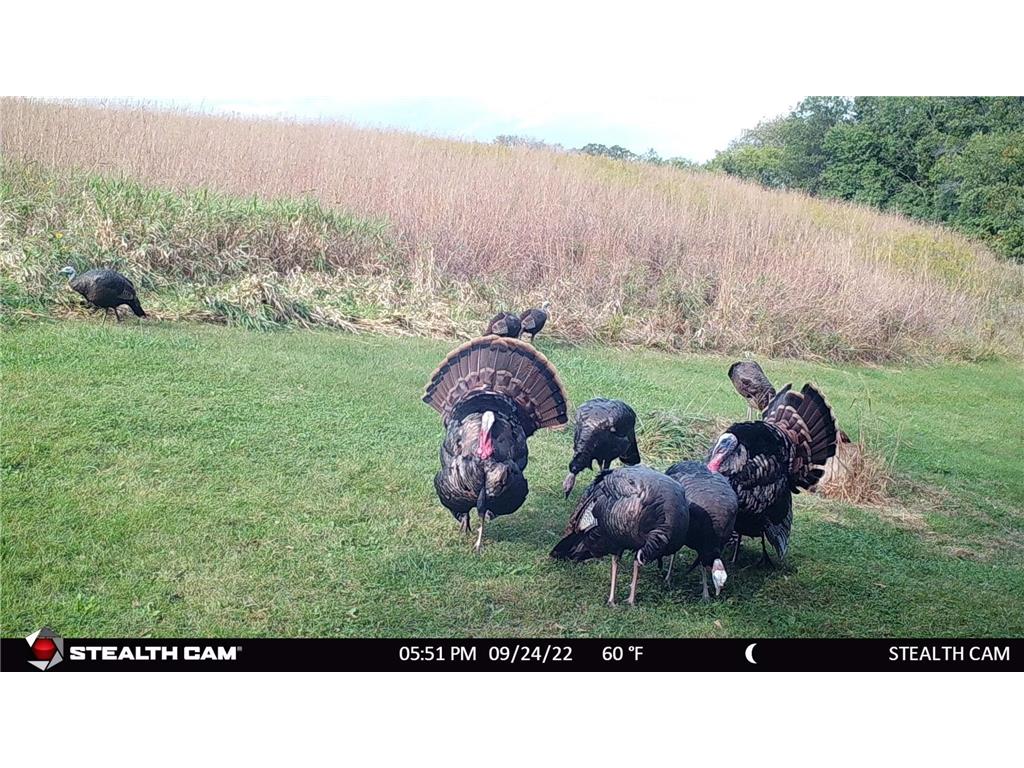 6302 20th Avenue SE Rochester MN 55904 7036991 image121