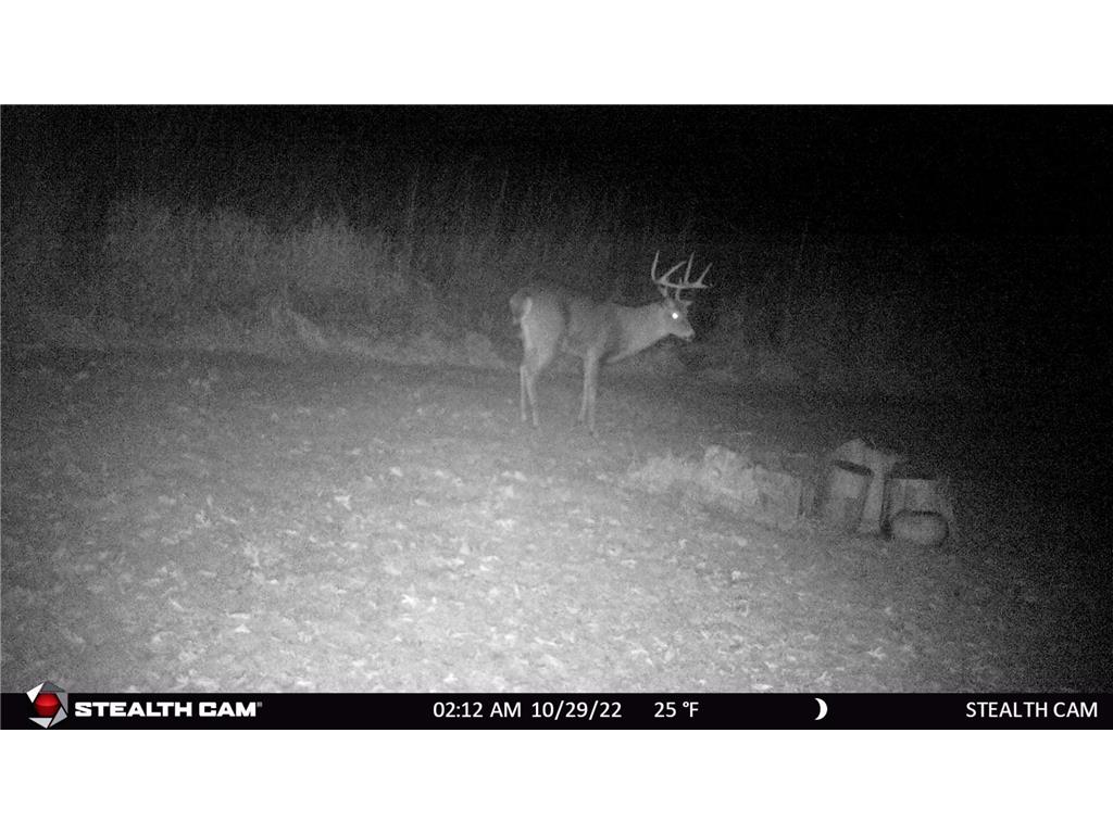 6302 20th Avenue SE Rochester MN 55904 7036991 image123