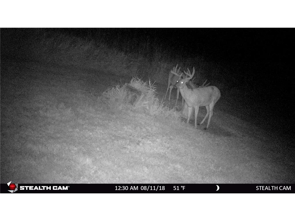 6302 20th Avenue SE Rochester MN 55904 7036991 image124