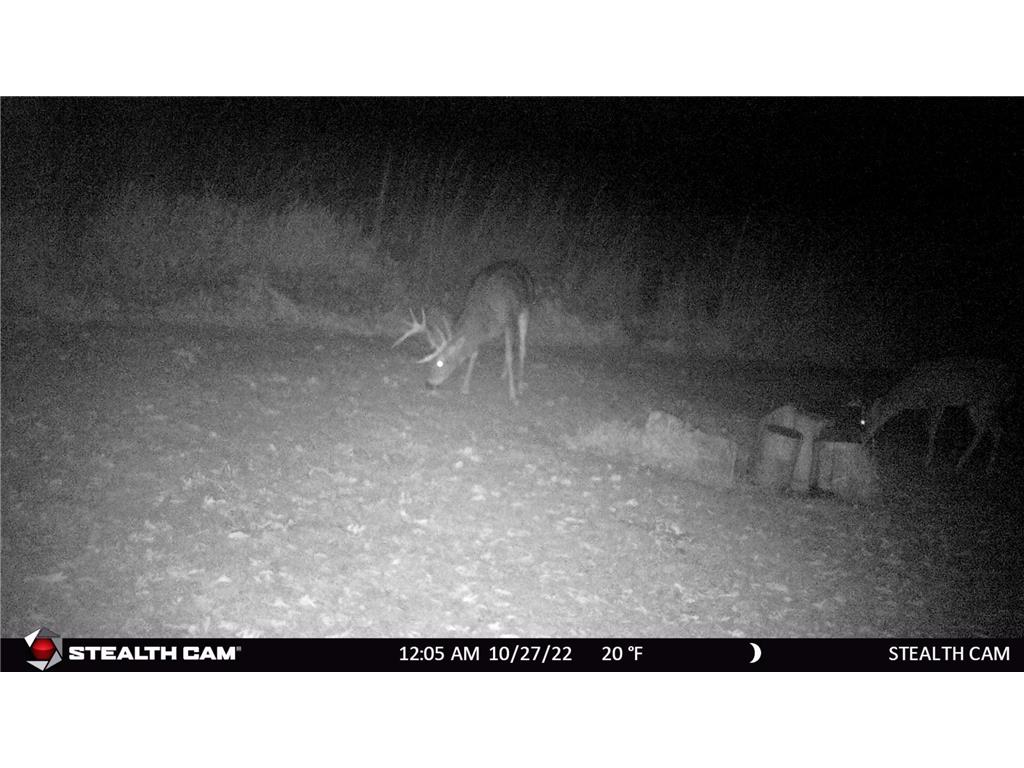 6302 20th Avenue SE Rochester MN 55904 7036991 image125