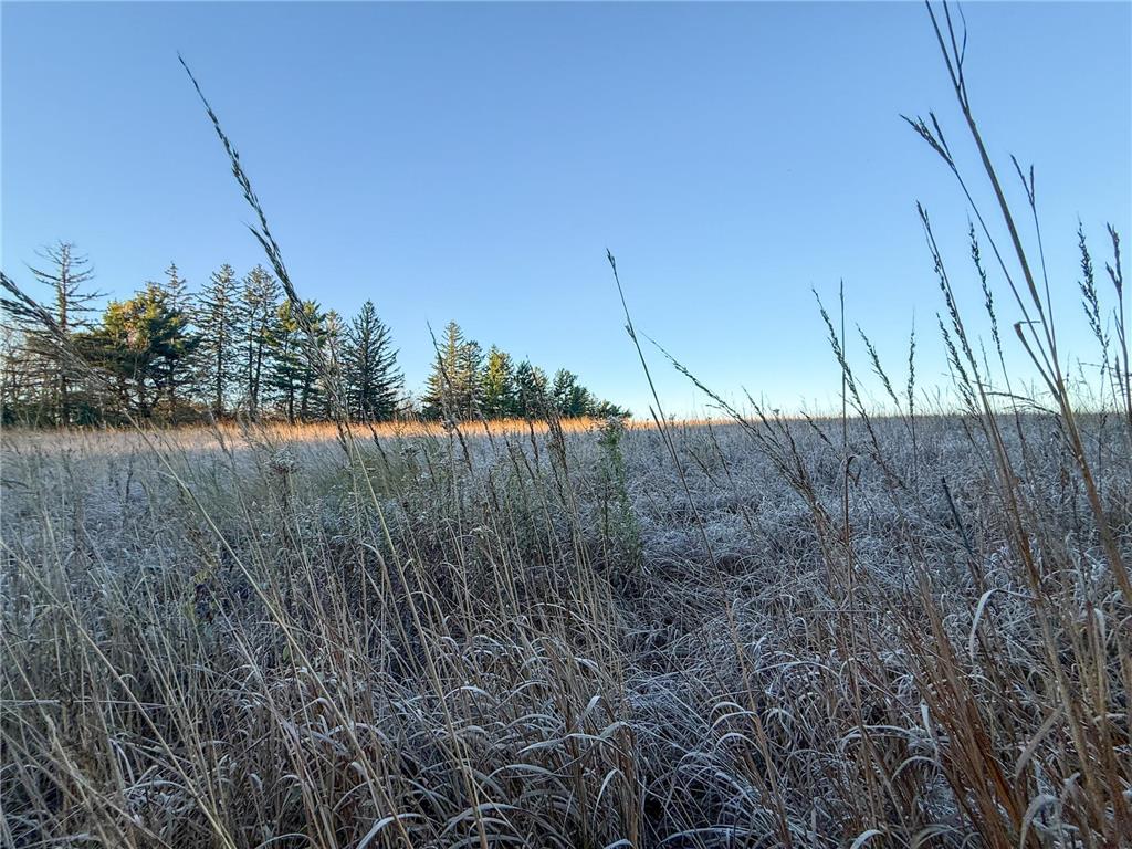 6302 20th Avenue SE Rochester MN 55904 7036991 image85