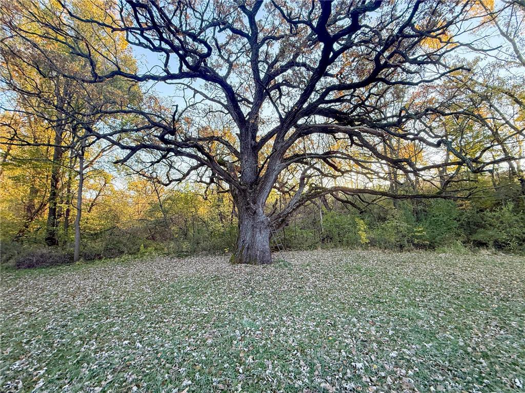 6302 20th Avenue SE Rochester MN 55904 7036991 image88