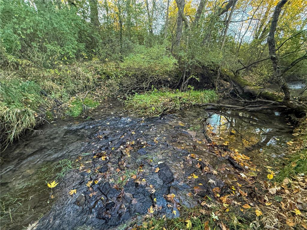 6302 20th Avenue SE Rochester MN 55904 7036991 image91