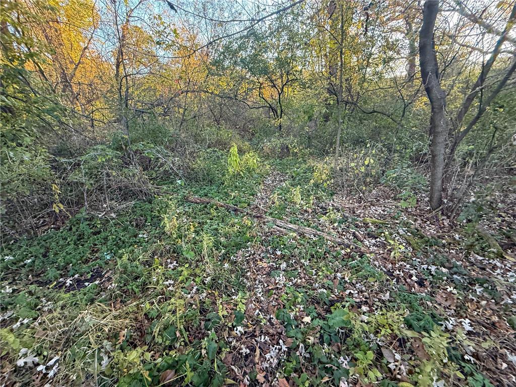 6302 20th Avenue SE Rochester MN 55904 7036991 image92