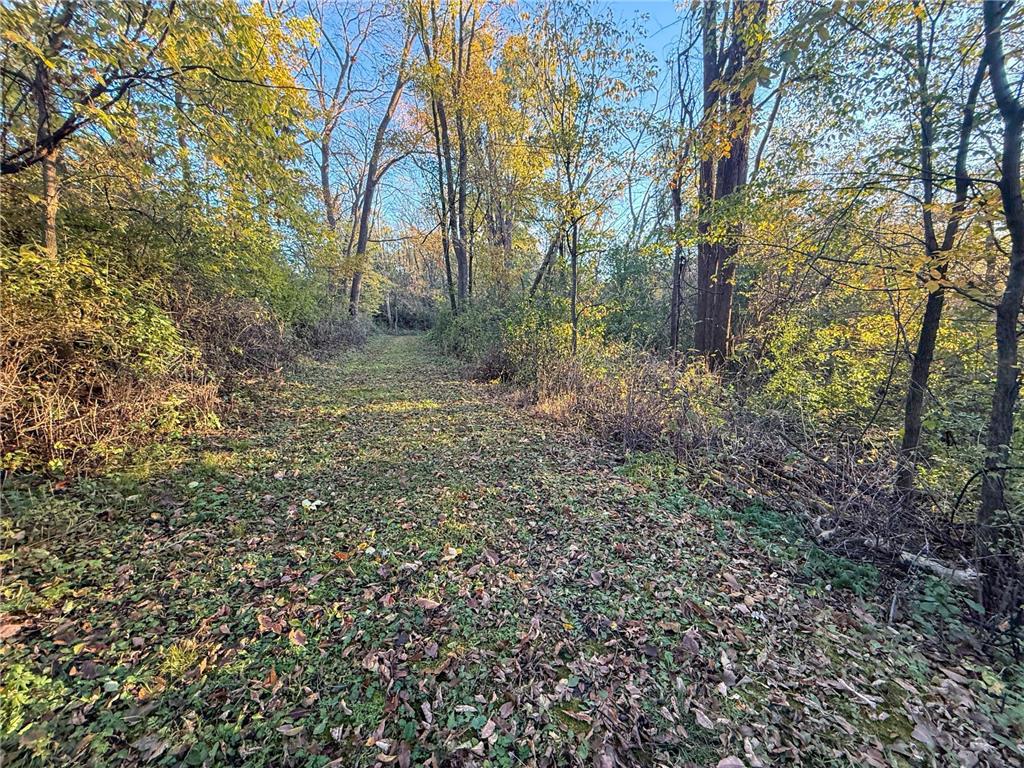 6302 20th Avenue SE Rochester MN 55904 7036991 image93