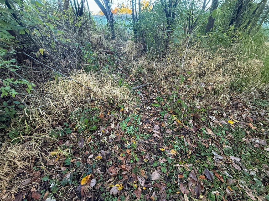 6302 20th Avenue SE Rochester MN 55904 7036991 image98