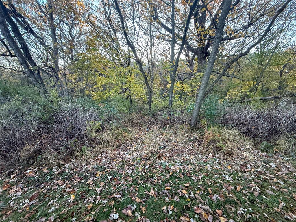 6302 20th Avenue SE Rochester MN 55904 7036991 image99