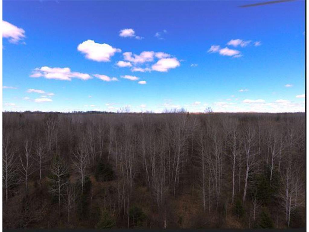 63022 400th Place Macville Twp MN 55785 7070757 image28
