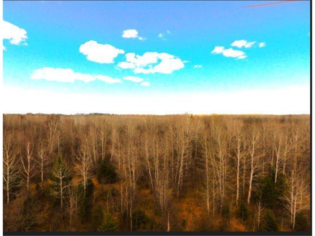 63022 400th Place Macville Twp MN 55785 7070757 image7