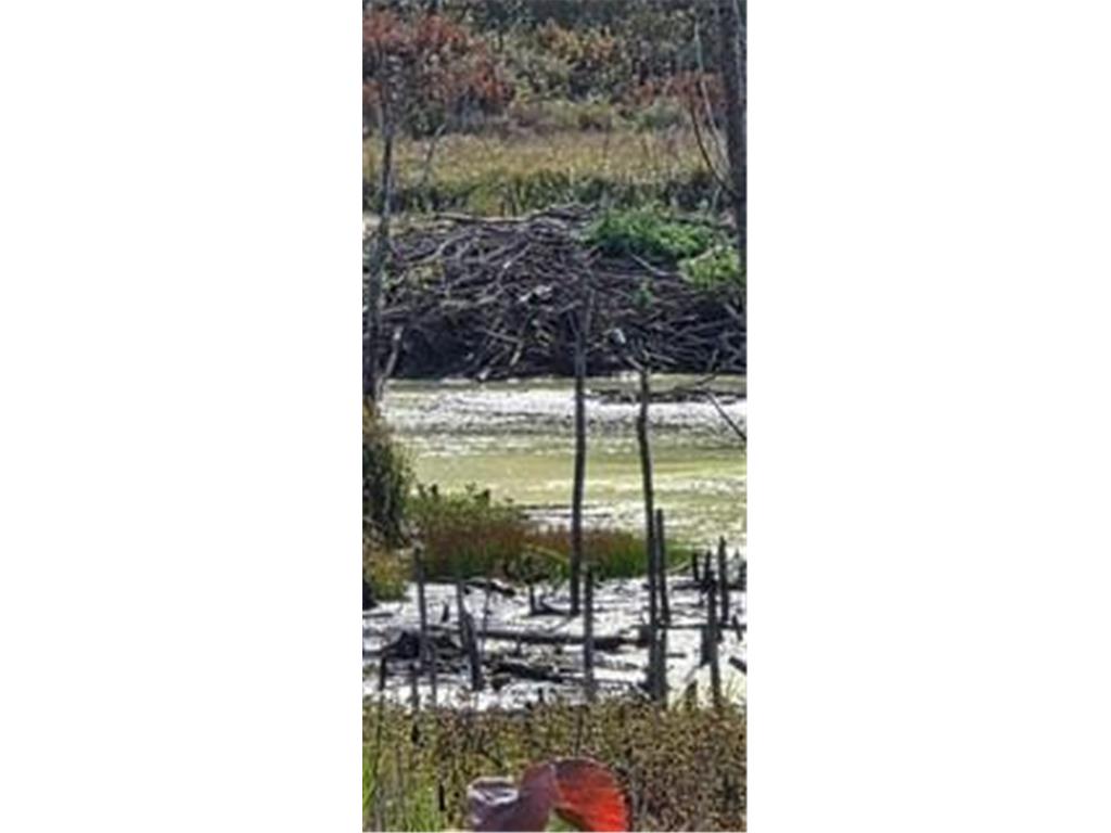 63022 400th Place Macville Twp MN 55785 7070757 image8