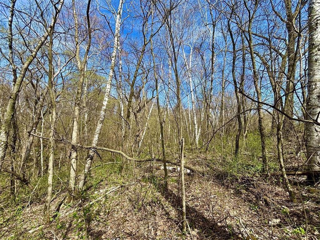 63095 220th Avenue Glasgow Twp MN 55945 7061481 image41