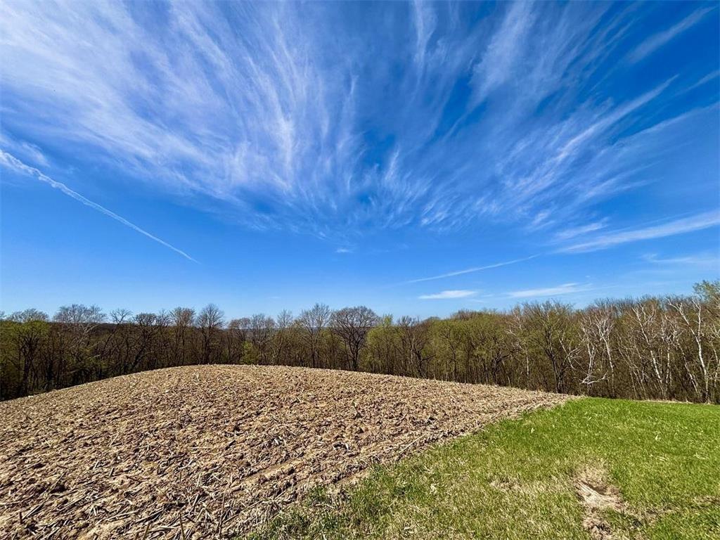 63095 220th Avenue Glasgow Twp MN 55945 7061481 image43