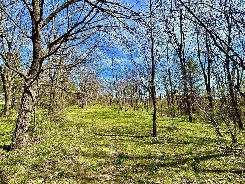 63095 220th Avenue Glasgow Twp MN 55945 7061481 image47