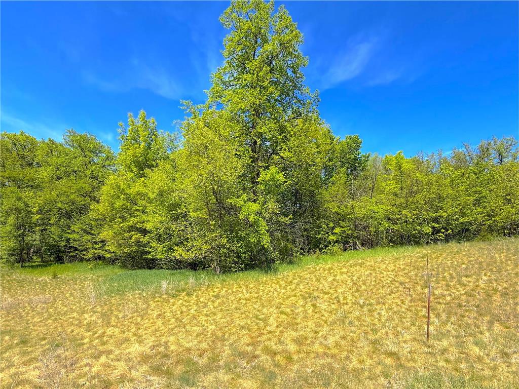 6312 Hidden Lane South Haven MN 55382 - Marie Lake 7061837 image20