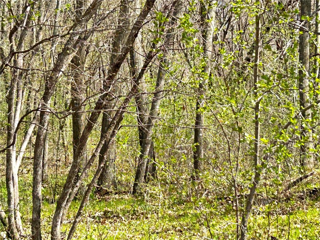 6312 Hidden Lane South Haven MN 55382 - Marie Lake 7061837 image8