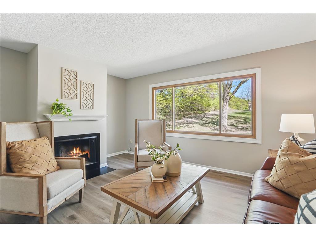 6316 Saint Johns Drive Eden Prairie MN 55346 6729613 image1
