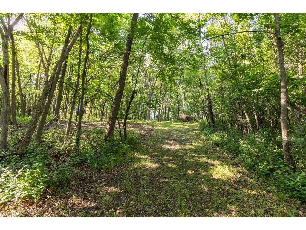 6317 Oak Meadow Lane NW Rochester MN 55901 7024340 image60