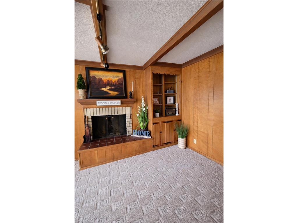 632 E Park Avenue Albert Lea MN 56007 - Fountain 7053764 image17