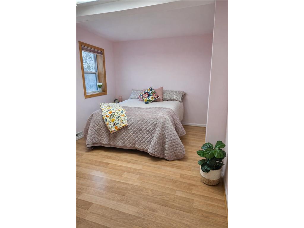 632 E Park Avenue Albert Lea MN 56007 - Fountain 7053764 image21