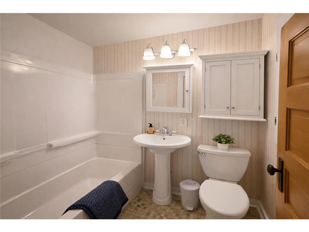 632 E Park Avenue Albert Lea MN 56007 - Fountain 7053764 image32