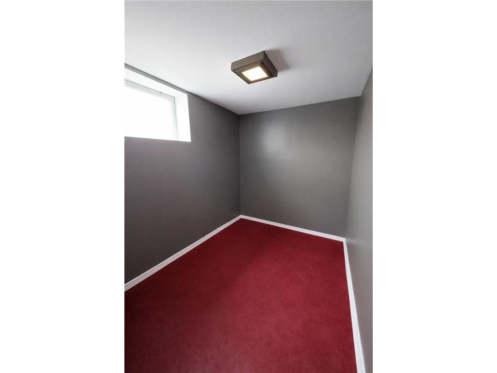 632 E Park Avenue Albert Lea MN 56007 - Fountain 7053764 image48