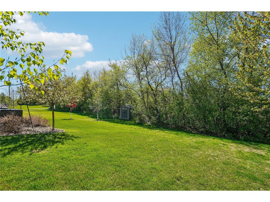 6321 151st Street Savage MN 55378 7072306 image58
