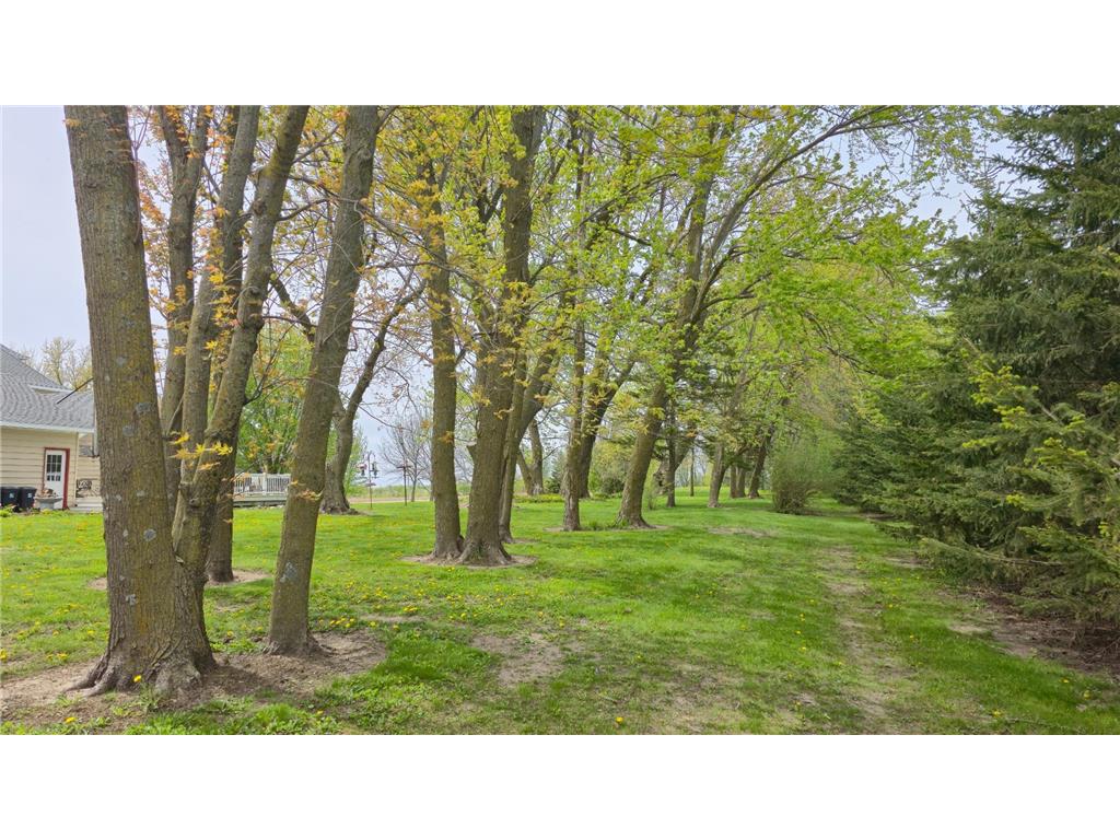 6321 County 11 Boulevard Cherry Grove Twp MN 55946 7067524 image58