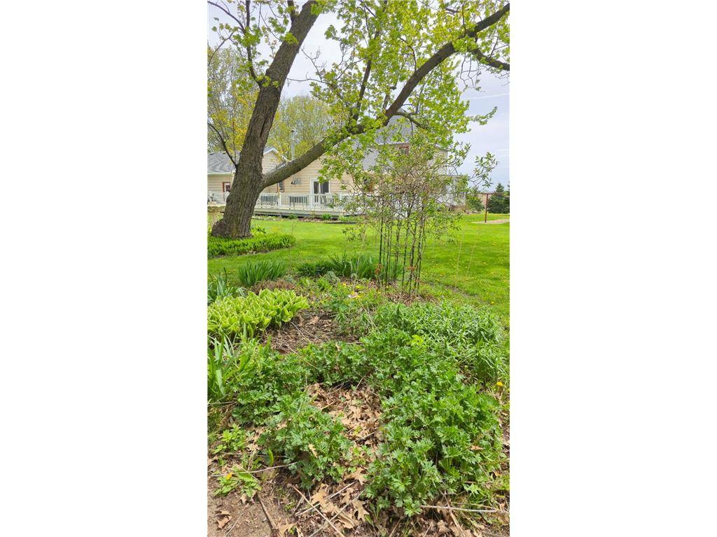 6321 County 11 Boulevard Cherry Grove Twp MN 55946 7067524 image62