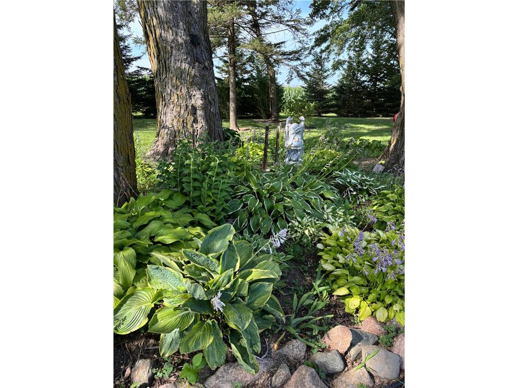 6321 County 11 Boulevard Cherry Grove Twp MN 55946 7067524 image63