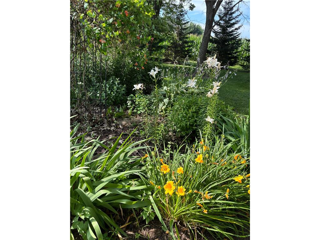 6321 County 11 Boulevard Cherry Grove Twp MN 55946 7067524 image65