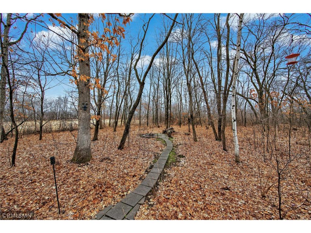 6323 Red Maple Lane Lino Lakes MN 55014 7043932 image44