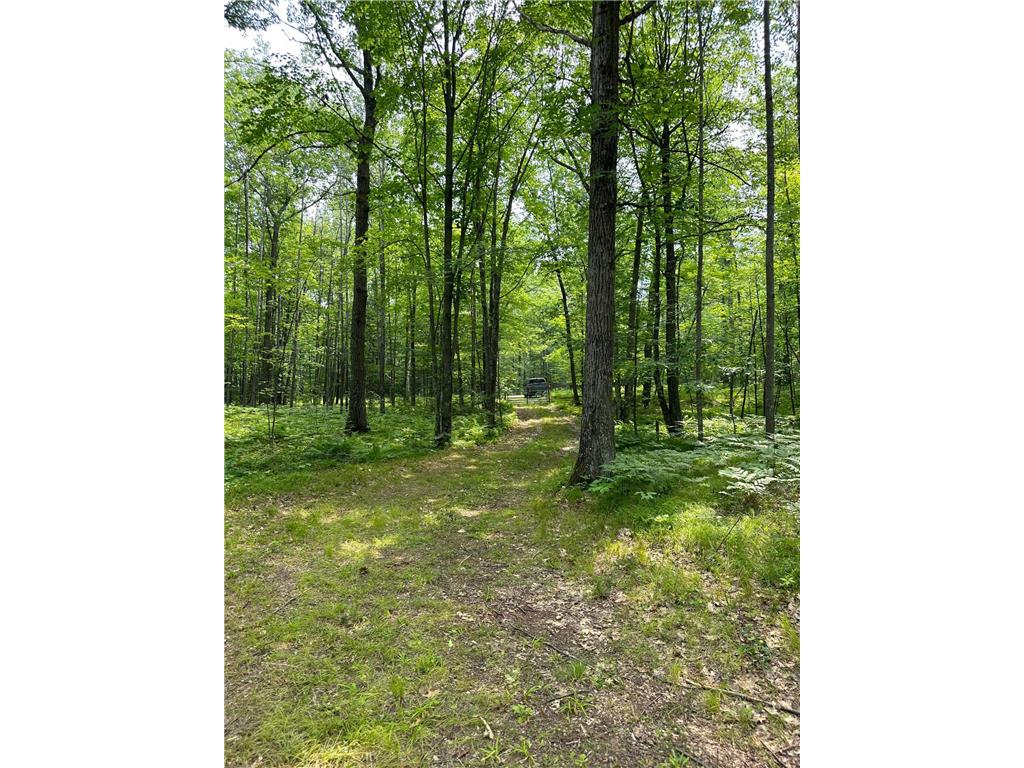 63231 Hannu Pine Lake Twp MN 55735 6407144 image1