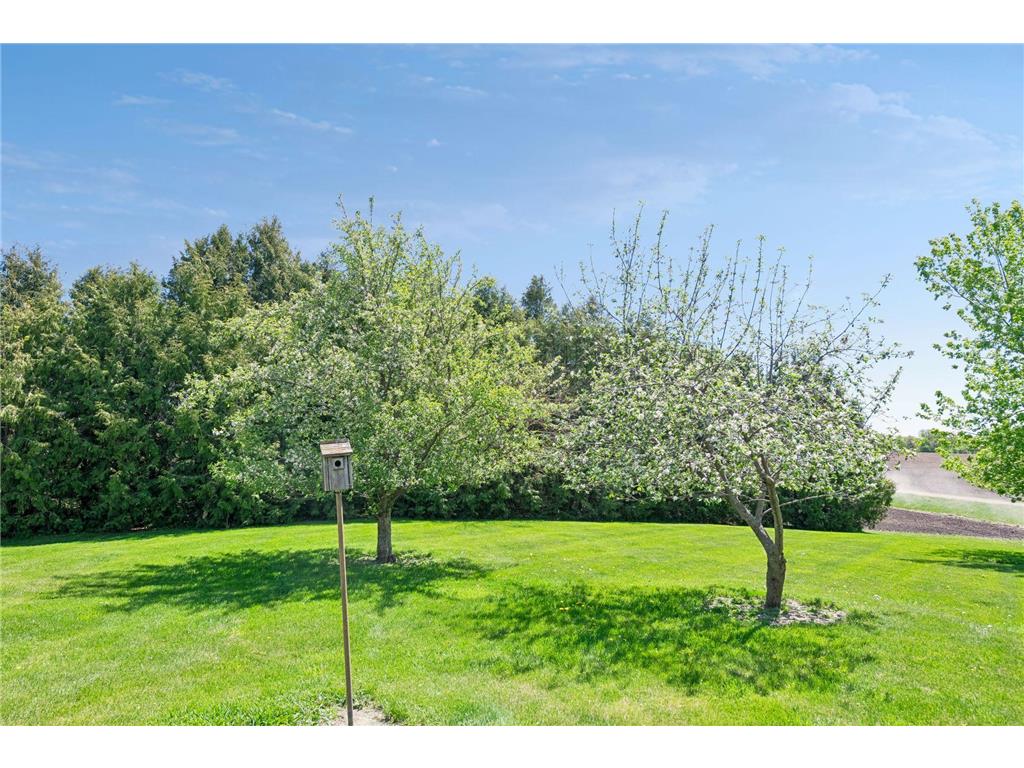 6324 SW 48th Street Owatonna MN 55060 7069043 image36