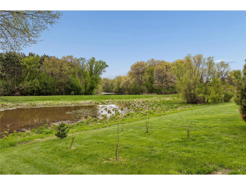 6325 Kalen Drive Woodbury MN 55129 7068662 image28