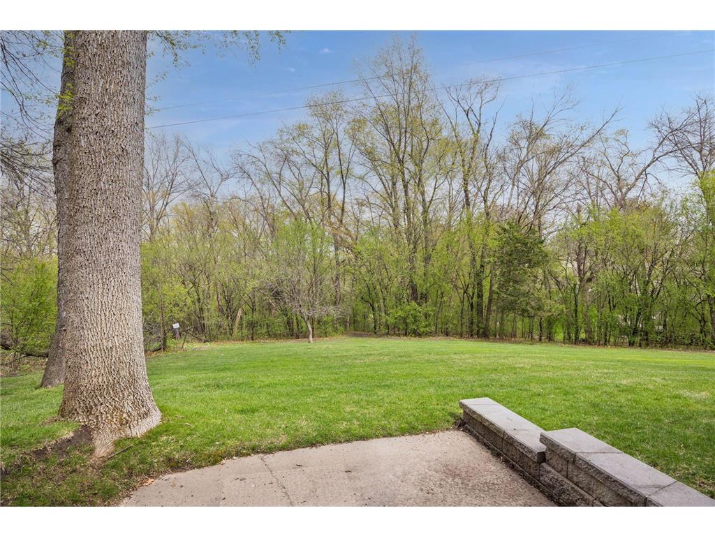 6328 Glacier Lane N Maple Grove MN 55311 7062594 image45