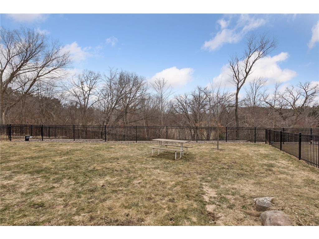 6331 Apple Court Inver Grove Heights MN 55077 7030794 image57
