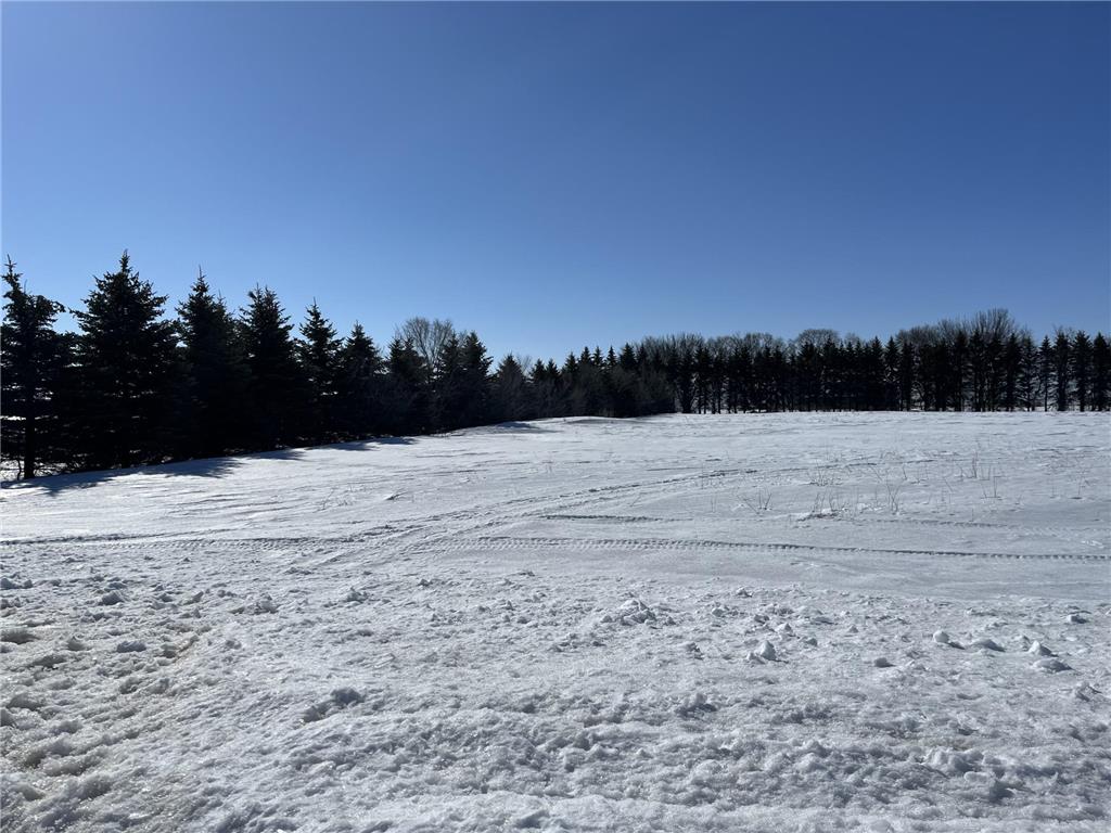 6335 Southside Court Kimball MN 55353 6347513 image1