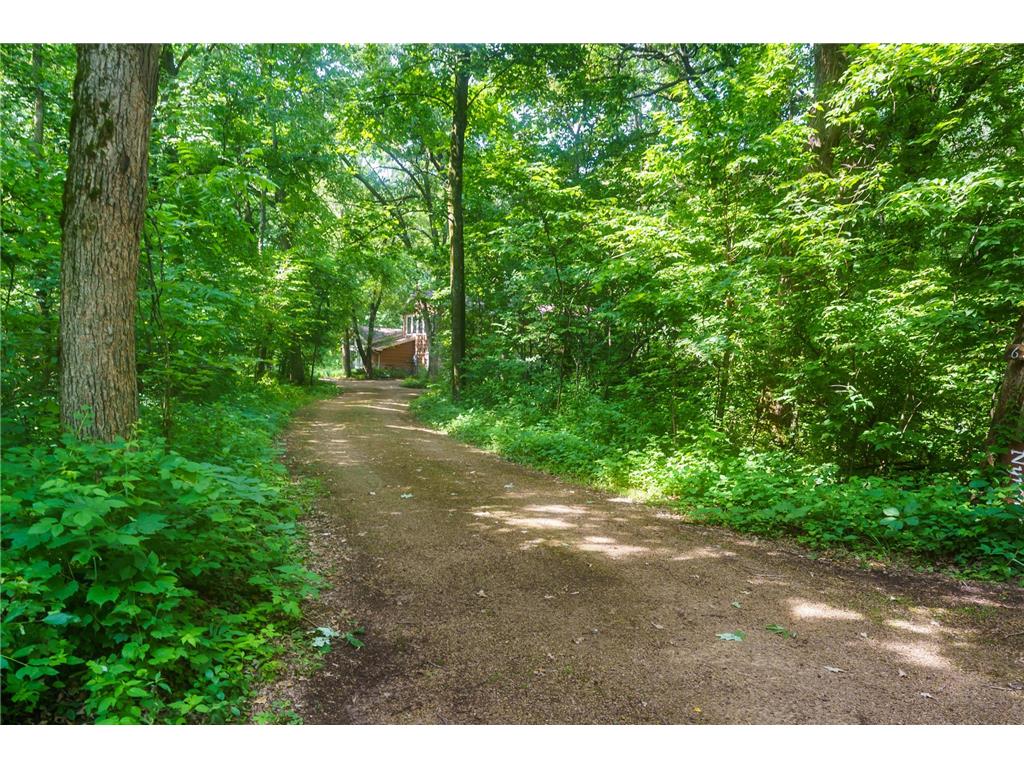 6340 Lamar Avenue S Cottage Grove MN 55016 7101423 image35