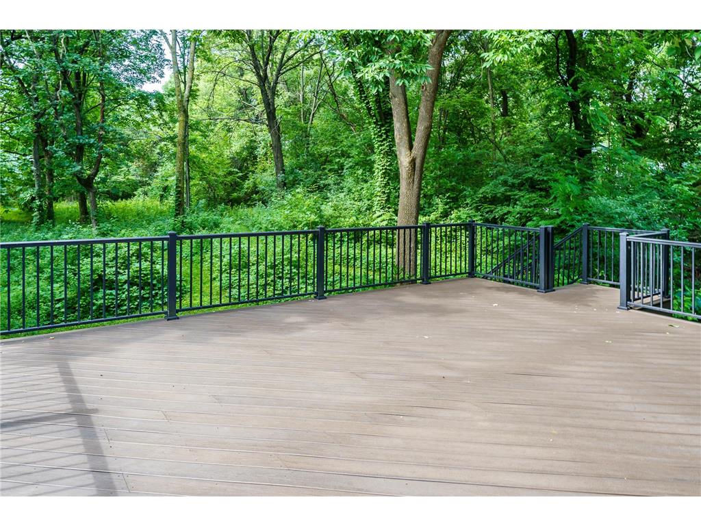 6340 Lamar Avenue S Cottage Grove MN 55016 7101423 image8