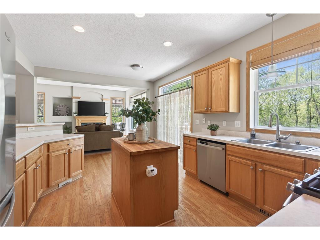 6341 Alwin Circle Mound MN 55364 7068186 image18