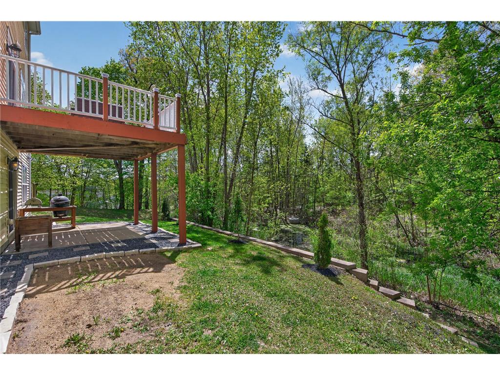 6341 Alwin Circle Mound MN 55364 7068186 image47