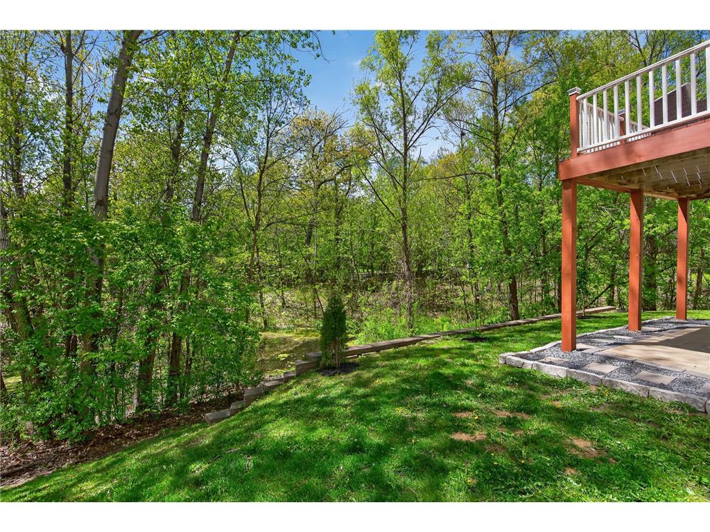 6341 Alwin Circle Mound MN 55364 7068186 image50
