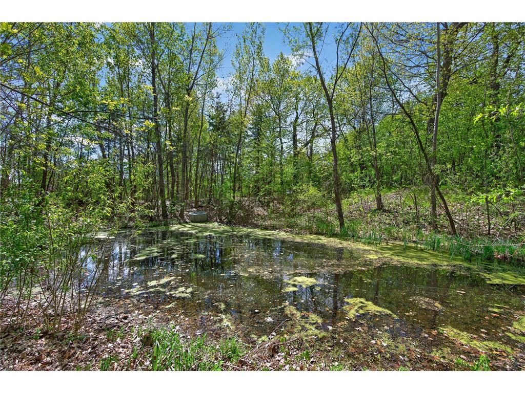 6341 Alwin Circle Mound MN 55364 7068186 image51