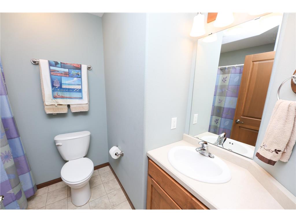 635 Dewberry Lane Alexandria MN 56308 7076666 image20